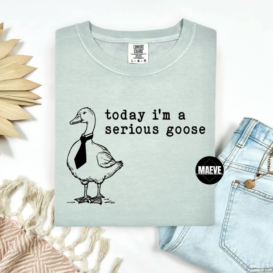 Serious Goose Tee