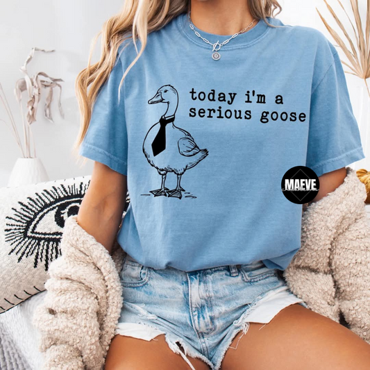 Serious Goose Tee